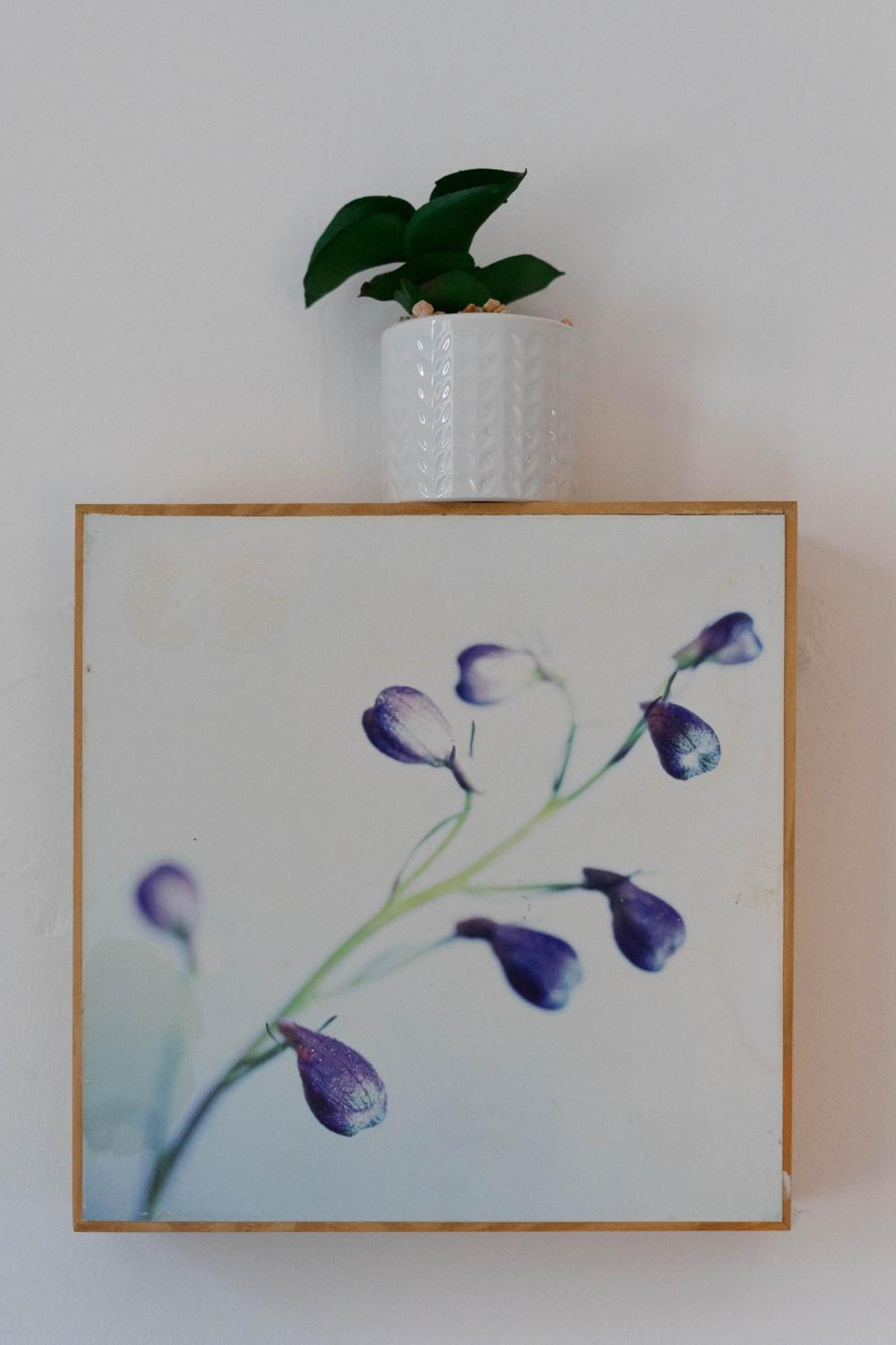 Apartamento Cosy Leith Escape - *